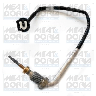 Sensor, exhaust gas temperature